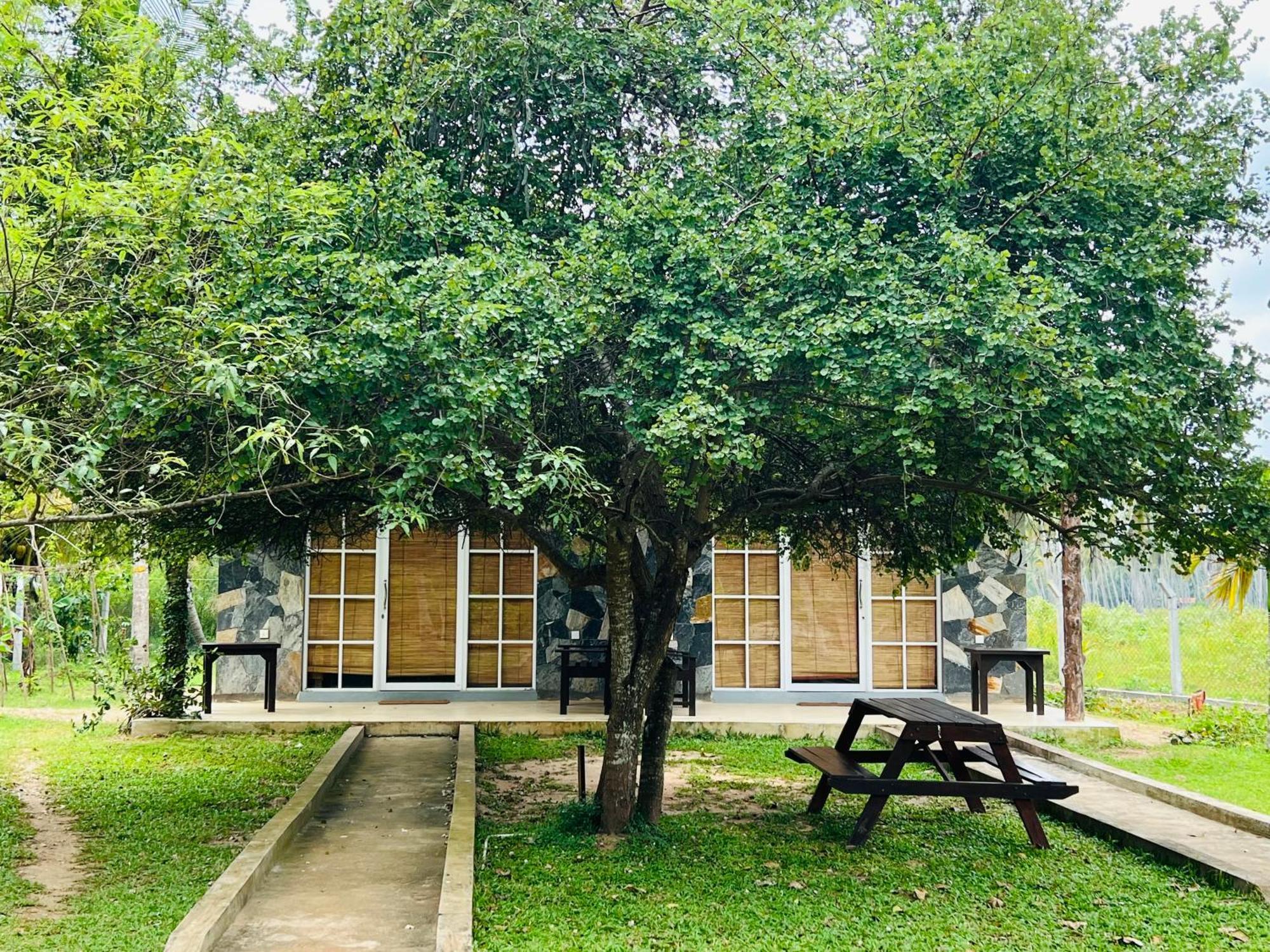 Coco Village Hotel Chilaw Ngoại thất bức ảnh